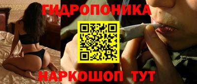 гашик Будённовск