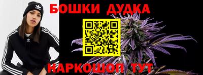 гашик Будённовск