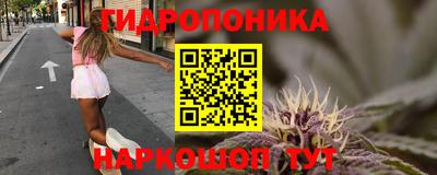гашик Будённовск