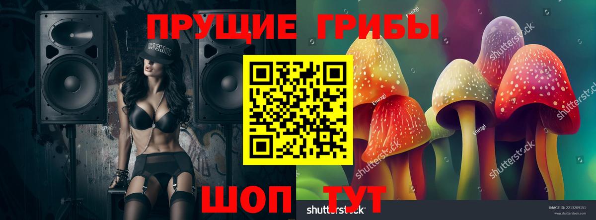 Красноуфимск  Галлюциногенные грибы прущие грибы  Вход с VPN  Галлюциногенные грибы Psilocybine cubensis 